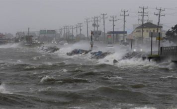 Things You Won’t Find in the Aftermath of a Hurricane