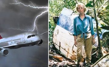 How to Survive 10 Days In The Amazon After A Plane Crash