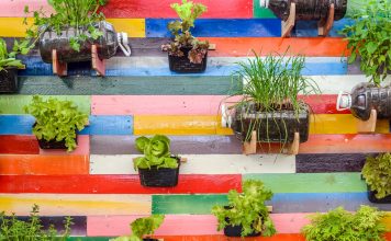 How to Make Your Garden in Small Spaces