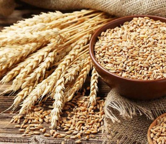 How to Store Wheat And How To Use It