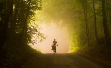 Your Bike Is The Best Bug Out Vehicle?