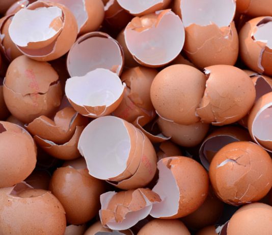 Things to Recycle in your Compost Bin