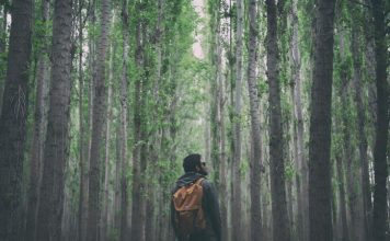 What to do when lost in the woods