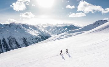 How to Survive in the Cold