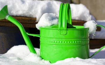 How to Prepare Your Garden for Winter