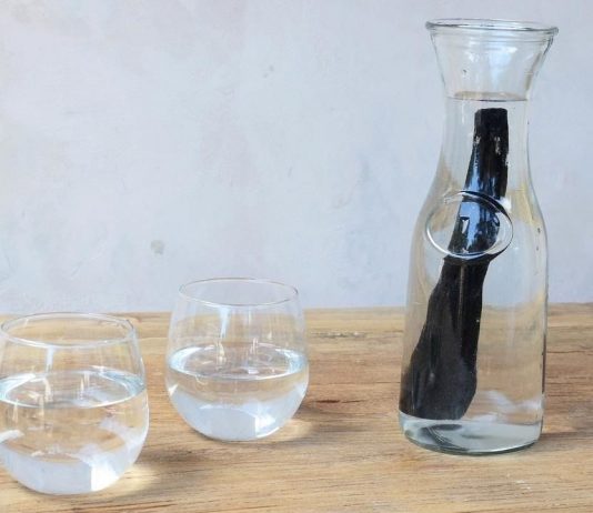 How to Purify Water with Charcoal