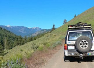 5 Awesome BOV You Can Actually Afford