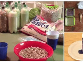 23 Things a Prepper Should Never Throw Away