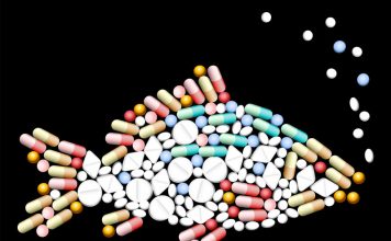Fish Antibiotics for Survival and How to Store Them