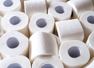 Beware of These Toilet Paper Eating Bugs
