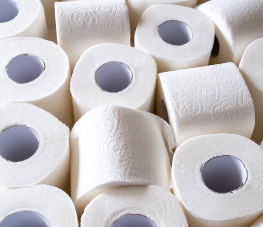 Beware of These Toilet Paper Eating Bugs
