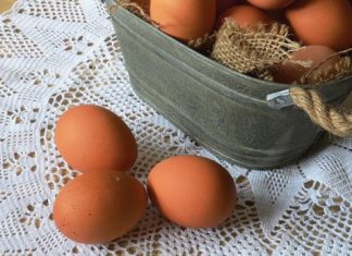 How to Keep Eggs Fresh for a Year with Isinglass