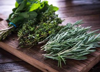 Top 10 Foods to Grow for Survival