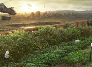 Post Apocalypse Gardening: Living From a Small Piece of Land in Tough Conditions