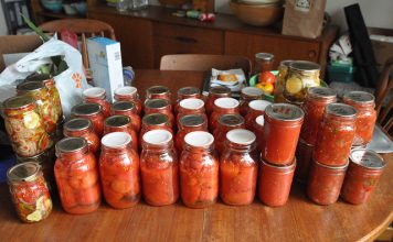 7 Deadly Canning Mistakes Even Smart People Make