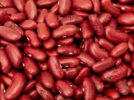 20 Foods that Will Outlast You