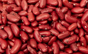 20 Foods that Will Outlast You