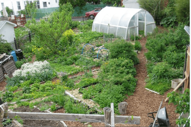 mini farm