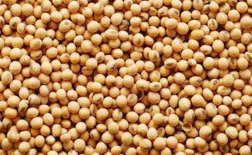 The Best ORAC Foods to Stockpile