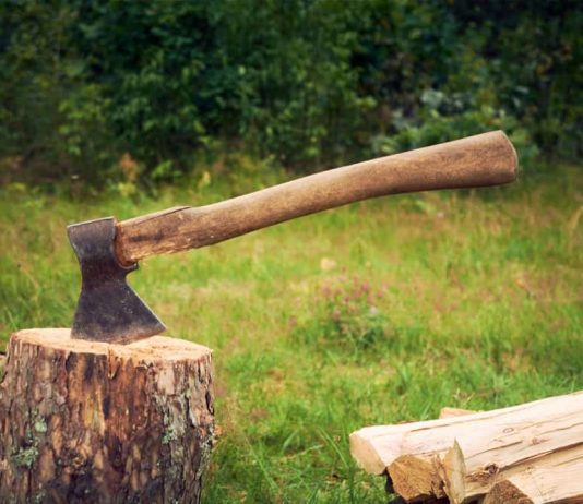 5 Best Wood Cutting Tools