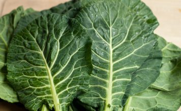 15 Vegetables You Can Plant In The Fall