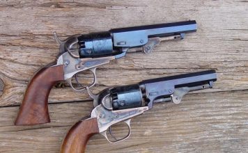 6 Best Guns to Have After an EMP